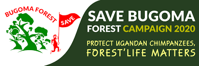 Save Bugoma Forest Campaign